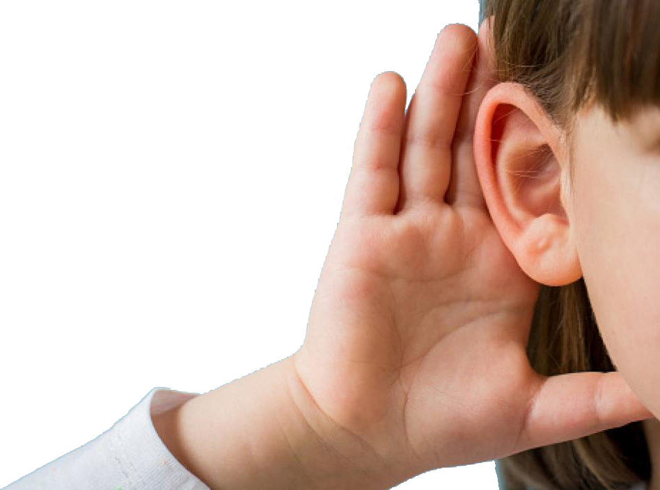 Basics of Hearing Loss and Hearing Aids